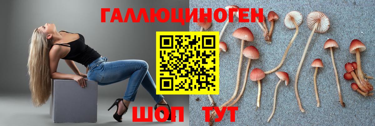 Кимры  Псилоцибиновые грибы мухоморы  Вход с VPN 