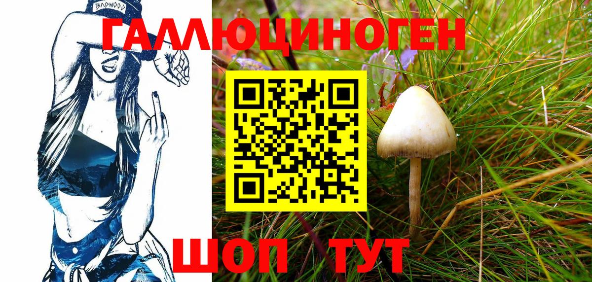 Псилоцибиновые грибы мицелий Кимры